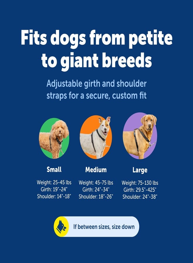 بيت سيف حزام PetSafe 3 في 1 مع مقود تحكم ثنائي النقاط - معدات تدريب متينة ومصممة خصيصًا لتدريب سلوك لطيف وتقليل شد المقود - تصميم مبطن يسمح بالتهوية - كبير - أسود - Image 5